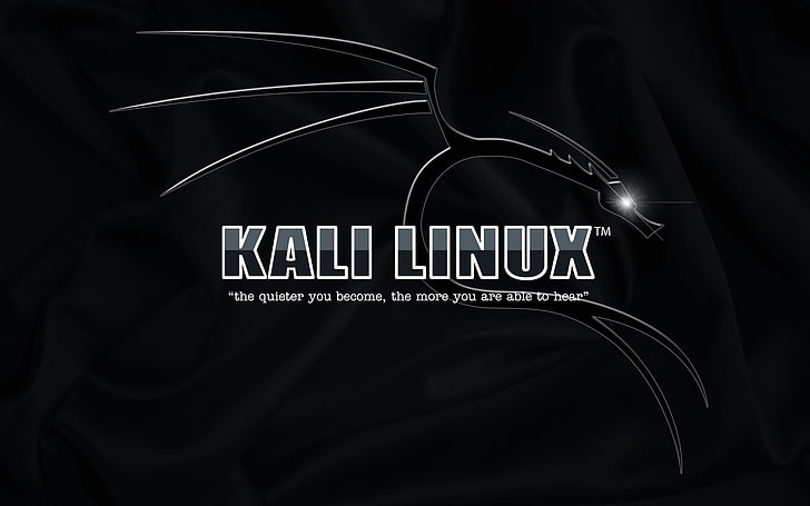 โลโก้ Kali Linux, Kali Linux, วอลล์เปเปอร์ HD