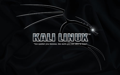칼리 리눅스 로고, 칼리 리눅스, HD 배경 화면 HD wallpaper