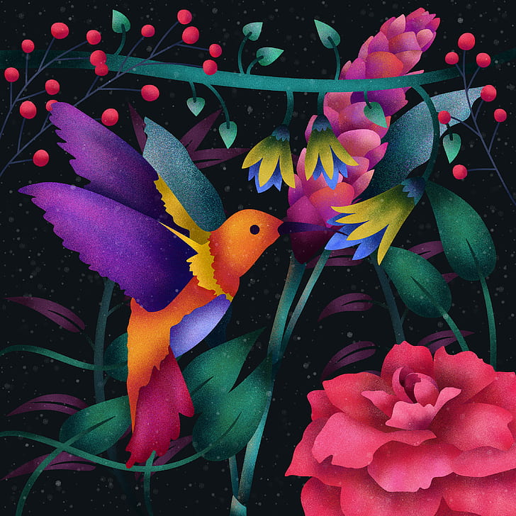 Hummingbird, Abstract, Colorful, Digital art, Flowers, HD, HD wallpaper