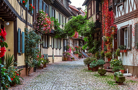 Konstgjord, gata, kullersten, blomma, Tyskland, hus, krukväxt, HD tapet HD wallpaper