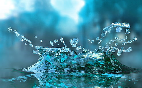 agua, gotas, naturaleza, Fond d'écran HD HD wallpaper