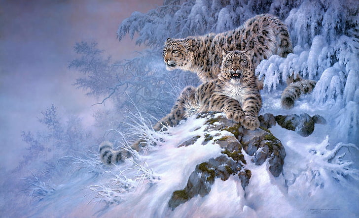Katter, Snow Leopard, HD tapet