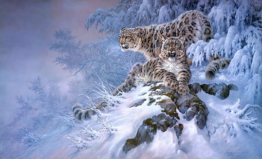 Chats, léopard des neiges, Fond d'écran HD HD wallpaper
