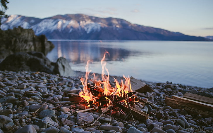 brown firewood, fire, campfire, lake, stones, stone, depth of field, nature, water, HD wallpaper