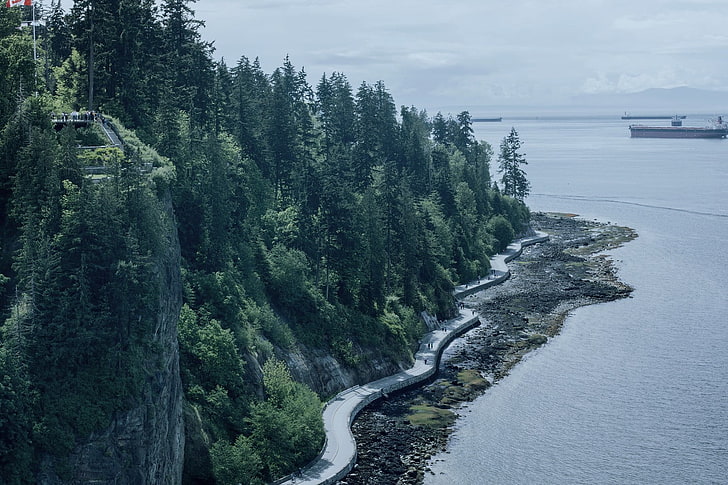 Zickzackbetonstraße nahe dem Gewässer, Meer, Wald, Insel, Wasser, Vancouver, HD-Hintergrundbild
