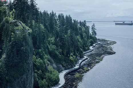 zygzakowata droga betonowa w pobliżu akwenu, morza, lasu, wyspy, wody, Vancouver, Tapety HD HD wallpaper