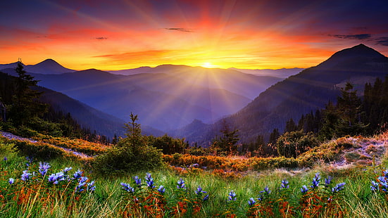 grüne Wiese in der Nähe von Berg bei Sonnenuntergang, Neuseeland, 5k, 4k Tapete, 8k, Berg, Sonnenuntergang, Blumen, Feld, HD-Hintergrundbild HD wallpaper