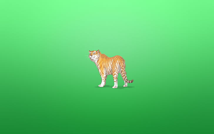 tiger, animal, minimalism, greenish background, a cunning face, HD wallpaper