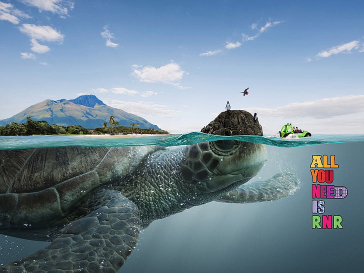 black sea turtle with text overlay, turtle, split view, sea, photo manipulation, HD wallpaper