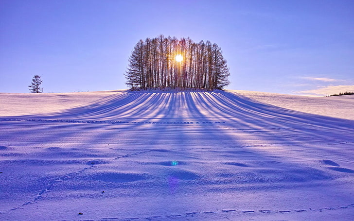 vaso cerâmico marrom e branco, natureza, paisagem, neve, HD papel de parede