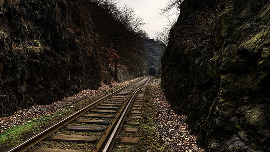 кафява и бяла дървена ограда, железопътна линия, тунел, тунели, HD тапет HD wallpaper