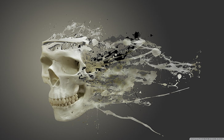 2560x1600 px, disintegrating, skull, HD wallpaper