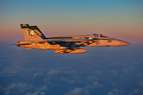 เที่ยวบิน, เครื่องบินขับไล่, นักบิน, Super Hornet, F-18, ดาดฟ้า, วอลล์เปเปอร์ HD HD wallpaper
