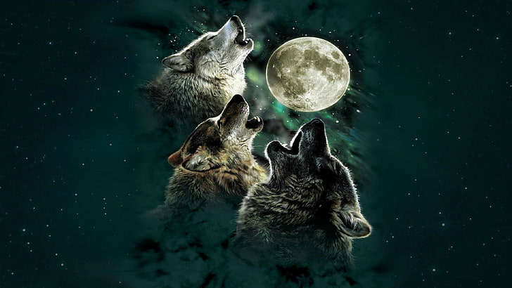 digitale Kunst, Wolf, Mond, HD-Hintergrundbild