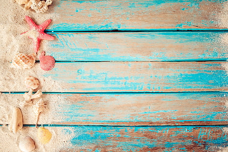  sand, beach, background, Board, star, shell, summer, vintage, wood, marine, starfish, seashells, HD wallpaper HD wallpaper