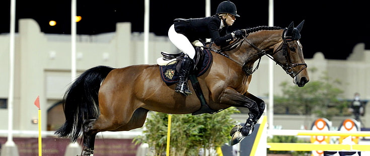 Equitazione, salto, cavallo, equitazione, vista laterale, Sfondo HD HD wallpaper