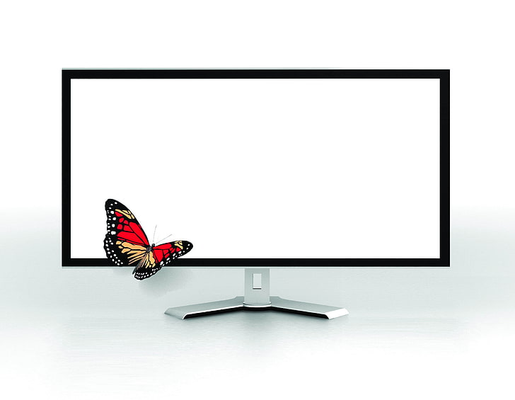 телевизор с плоским экраном, телевизор, бабочка, монитор, белый фон, экран, HD обои