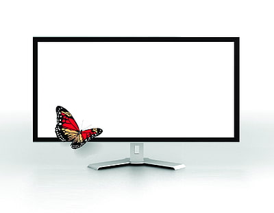 フラットスクリーンテレビ、テレビ、蝶、モニター、白い背景、画面、 HDデスクトップの壁紙 HD wallpaper