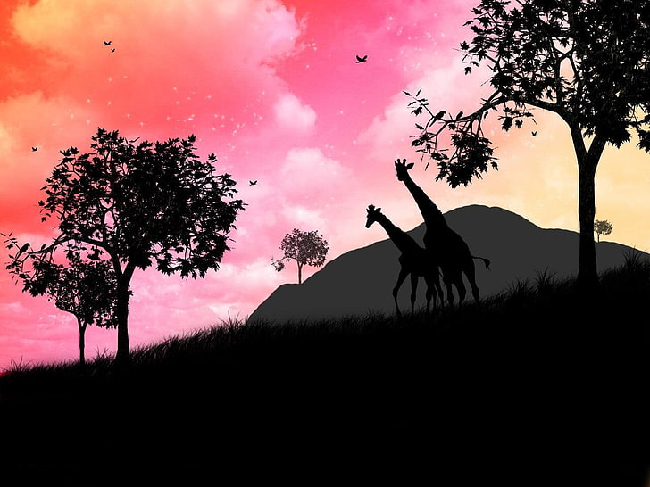 illustration silhouette deux girafe, animal, girafe, nuage, couleurs, savane, ciel, Fond d'écran HD