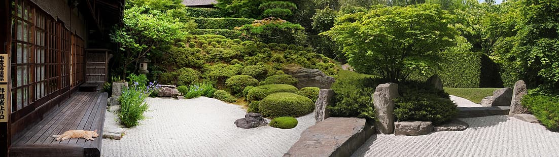 двойной дисплей, два монитора, широкое изображение, сверхширокий, Япония, мирный, спокойный, сад, природа, HD обои HD wallpaper
