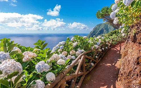 цветы, горы, океан, дорожка, Азорские острова, Сан-Мигель, Acores, HD обои HD wallpaper
