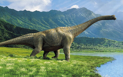 Dinozaury na żywo Tapety, Tapety HD HD wallpaper