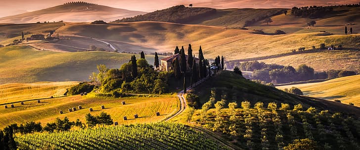 landskap, Toscana, Italien, vingård, fält, HD tapet