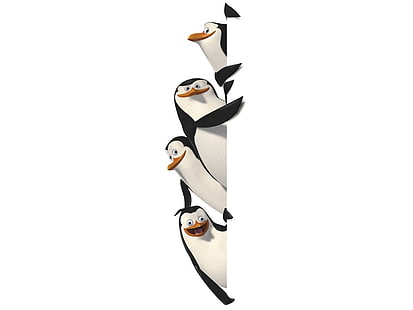 مغامرة ، رسوم متحركة ، رسوم متحركة ، كوميديا ​​، أسرة ، مدغشقر ، البطريق ، طيور البطريق، خلفية HD HD wallpaper