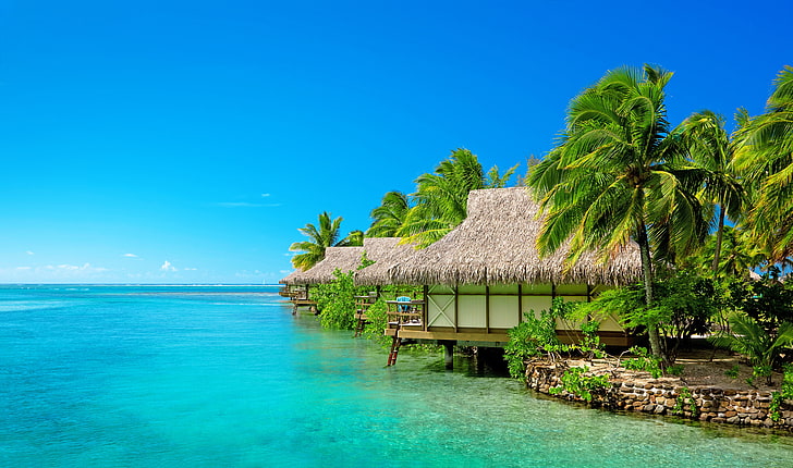 кокосовые пальмы, море, пляж, небо, пальмы, ветер, Мальдивы, курорт, бунгало, отдых, HD обои