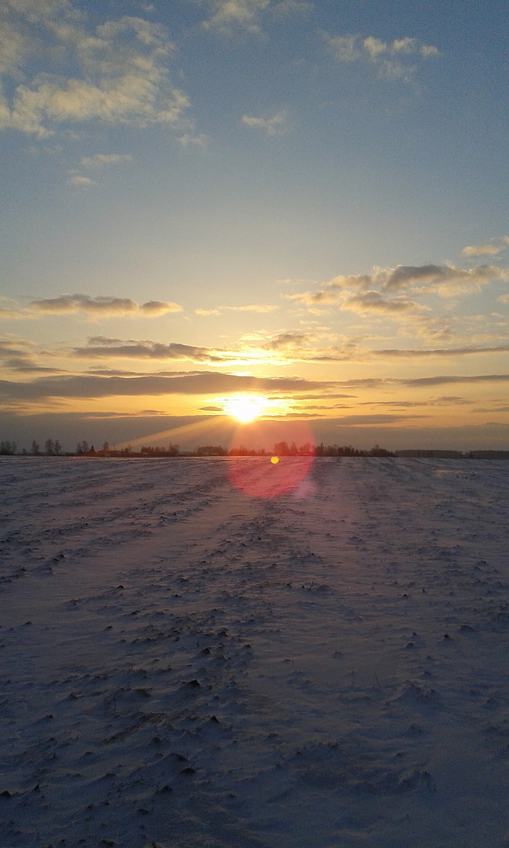 neve, natureza, inverno, frio, Lituânia, manhã, HD papel de parede, papel de parede de celular