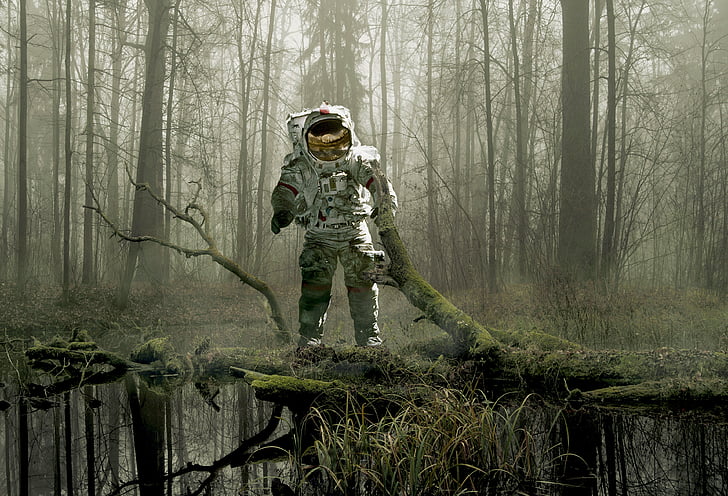 นักบินอวกาศบนต้นไม้ในป่าวอลล์เปเปอร์ 3D, นักบินอวกาศ, ป่า, โลก, ชุดอวกาศ, 4K, วอลล์เปเปอร์ HD