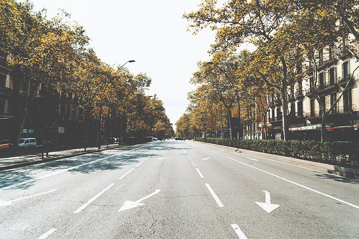 graue Betonstraße und grüne Bäume, Straße, Stadt, Straße, Markierung, HD-Hintergrundbild