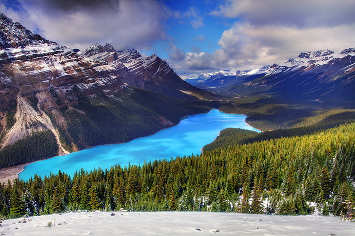 winter, forest, snow, trees, mountains, lake, spruce, Canada, alberta, peyto lake. banff national park, HD wallpaper