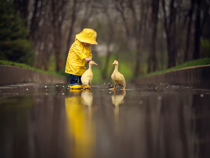crianças ao lado de dois patos marrons, pássaros, reflexão, criança, gansinhos, capa de chuva amarela, HD papel de parede