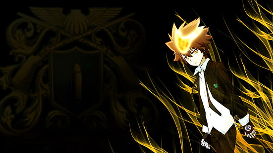 Anime, Katekyō Hitman Reborn !, Hitman Reborn, Tsunayoshi Sawada, HD-Hintergrundbild HD wallpaper