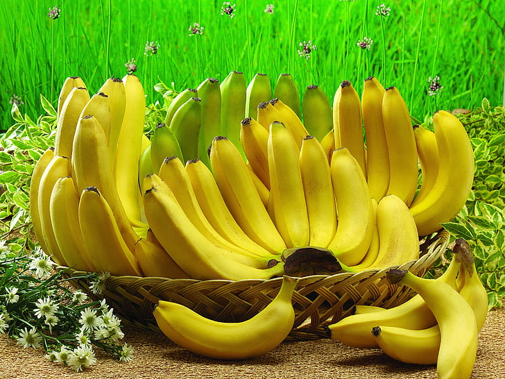 кошница с банани тапет, банан, кошница, плодове, HD тапет
