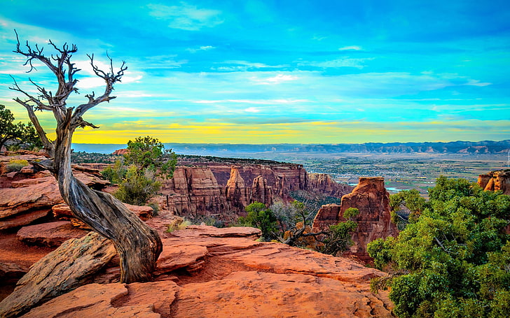 Colorado National Park Monument United States Mountains Rocks Trees Sunset Landscapes 4k Hd Wallpaper For Desktop 5200×3250, HD wallpaper