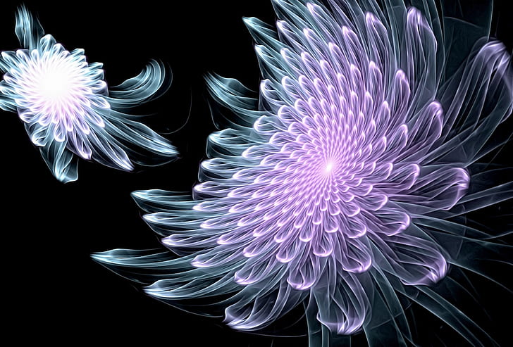 abstraction, rendering, fantasy, fractals, black background, picture, glowing lines, fantastic flowers, fractal picture, HD wallpaper