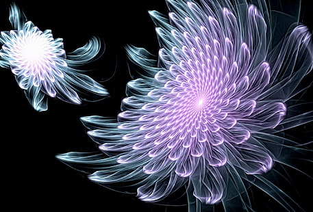  abstraction, rendering, fantasy, fractals, black background, picture, glowing lines, fantastic flowers, fractal picture, HD wallpaper HD wallpaper