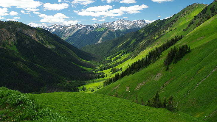 bergiga landformer, gräsmark, Barkley Valley, natur, vegetation, bergslandskap, dal, vildmark, bergskedja, berg, British Columbia, Kanada, gräs, fält, HD tapet