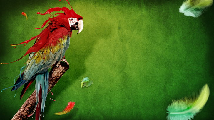 macaw, hewan, seni digital, burung, bayan, bulu, Wallpaper HD