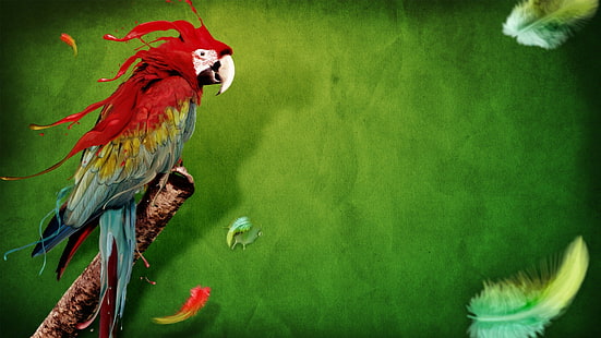 Amerika papağanı, hayvanlar, dijital sanat, kuşlar, papağan, tüy, HD masaüstü duvar kağıdı HD wallpaper
