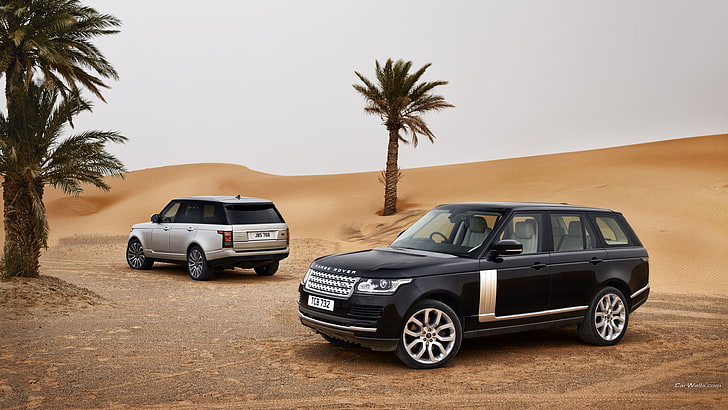 Range Rover, palmiers, voiture, véhicule, Fond d'écran HD