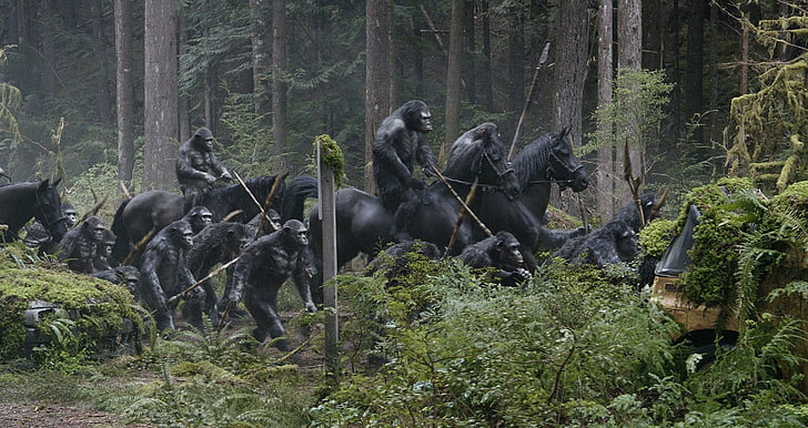 Movie, Dawn of the Planet of the Apes, HD wallpaper