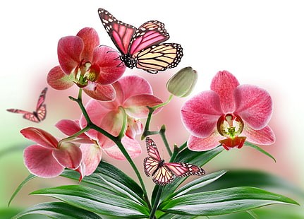 pink orchid and several butterflies, flowers, nature, collage, butterfly, plant, wings, petals, Orchid, HD wallpaper HD wallpaper
