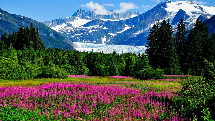 Alaska HD fondos de pantalla descarga gratuita | Wallpaperbetter