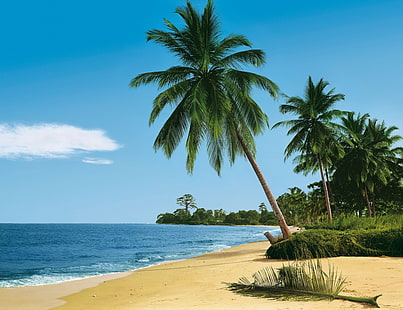 zielona palma kokosowa, plaża, tropik, morze, piasek, palmy, lato, Tapety HD HD wallpaper
