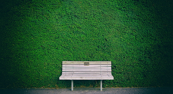 brown wooden slatted bench, bench, green, minimalism, HD wallpaper HD wallpaper