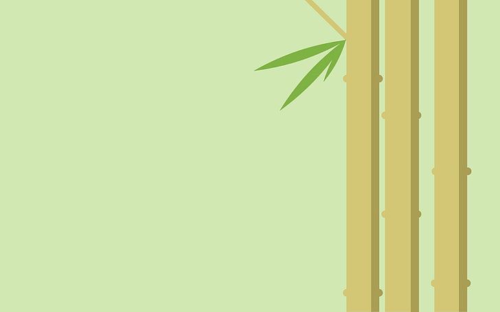 biało-zielona drewniana szafka, minimalizm, bambus, sztuka cyfrowa, proste tło, rośliny, Tapety HD