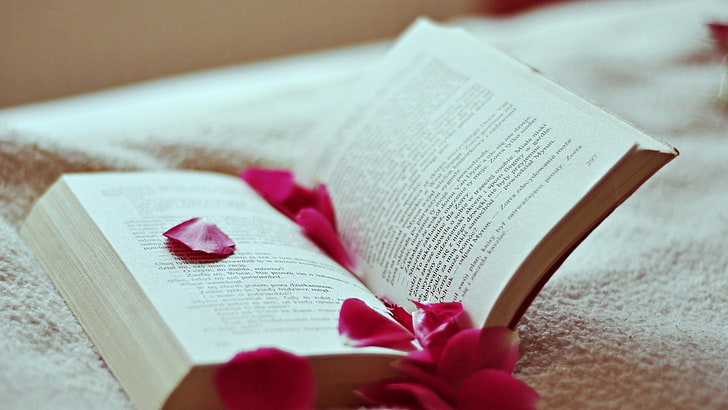 biała książka, książka, płatki, róża, czytanie, Tapety HD